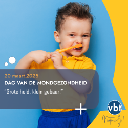 DvdM256